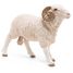 Figurina dell'Ariete PA51129 Papo 4