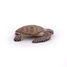 Figurina di tartaruga Caretta Caretta PA56005-2937 Papo 6