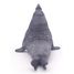 Foca elefante PA56032 Papo 4