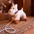 Lola il cane da tirare EG591036 Egmont Toys 5