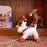 Lola il cane da tirare EG591036 Egmont Toys 6