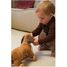 Edward il cane da tirare EG591038 Egmont Toys 10