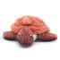 Peluche tartaruga mamma baby terracotta DE73502 Les Déglingos 5