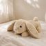 Peluche con proiettore di stelle Coniglio Cloudb-7472-BBN Cloud b 2