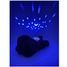 Peluche con proiettore di stelle Barboncino Cloudb-7472-PD Cloud b 3