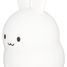 Piccola luce notturna Rabbit UL-8113 Ulysse 2