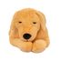 Peluche cane appesantito 2,2 kg As-84680 ByAstrup 2