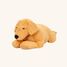 Peluche cane appesantito 2,2 kg As-84680 ByAstrup 5