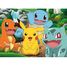 Puzzle Pokemon al parco 60 pezzi N86187 Nathan 2