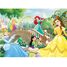 Puzzle Principesse Disney 60 pezzi N86567 Nathan 2