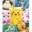 Tipi di Pokémon puzzle 250 pezzi N868827 Nathan 2