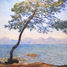 Cap d'Antibes di Monet A743-80 Puzzle Michèle Wilson 2