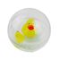 Palla d'acqua Famiglia di anatre B38001 Bass & Bass 2
