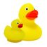 Palla d'acqua Famiglia di anatre B38001 Bass & Bass 4