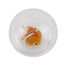 Palla d'acqua Pesci pagliaccio B38012 Bass & Bass 6