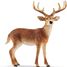 Cerf De Virginie SC-14818 Schleich 1