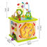 Cubo di attività HA-E1810 Hape Toys 4