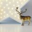 Lampada a luce notturna White Star LL019-001 Little Lights 3