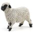 Figurina Mouton nez black du Valais PA-51194 Papo 3
