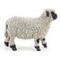 Figurina Mouton nez black du Valais PA-51194 Papo 4