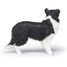Figurina di Border Collie PA-54008 Papo 3
