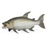 Statuetta di pesce tigre Golia PA-56065 Papo 2