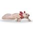 Statuetta di Axolotl PA-56066 Papo 1