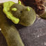 Peluche dinosauro verde con peso 40 cm HO3362 Histoire d'Ours 2