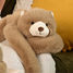 Peluche orso bruno con peso 40 cm HO3363 Histoire d'Ours 3