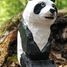 Figurina Panda in legno WU-40705 Wudimals 4