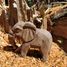 Figurina vitello di elefante in legno WU-40465 Wudimals 3