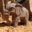 Figurina vitello di elefante in legno WU-40465 Wudimals 5