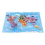 Puzzle educativo Curiosità del mondo 350 pezzi J02677 Janod 2