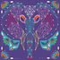 String art quadri di animali J07912 Janod 5