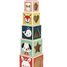 Piramide 6 cubi Baby Forest J08016 Janod 1