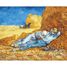 Il meridiano di Van Gogh K167-24 Puzzle Michèle Wilson 2