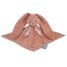 Doudou Coniglietto Terracotta K972208 Kaloo 1