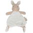 Panno coccole coniglio Newborn LD8402 Little Dutch 2