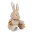 Peluche attività coniglietto LD8430 Little Dutch 2