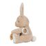 Peluche attività coniglietto LD8430 Little Dutch 6