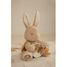 Peluche attività coniglietto LD8430 Little Dutch 8