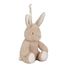 Peluche coniglio musicale e luminosa LD8441 Little Dutch 8