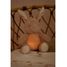 Peluche coniglio musicale e luminosa LD8441 Little Dutch 3