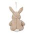 Peluche coniglio musicale e luminosa LD8441 Little Dutch 5