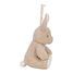 Peluche coniglio musicale e luminosa LD8441 Little Dutch 7
