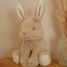 Peluche coniglietto Baby Bunny 15 cm LD8450 Little Dutch 2