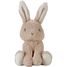 Set regalo Baby Bunny LD8859 Little Dutch 3