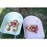 Carriola Fairy Garden LD9124 Little Dutch 10