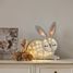 Luce notturna Rabbit Grigio chiaro LL008-500 Little Lights 2