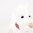 Lola il cane in peluche 17 cm EG130617 Egmont Toys 3